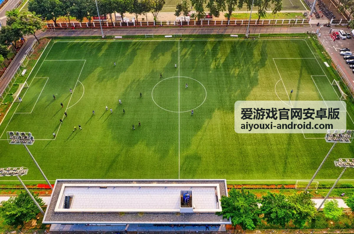 爱游戏官方安卓版界面截图